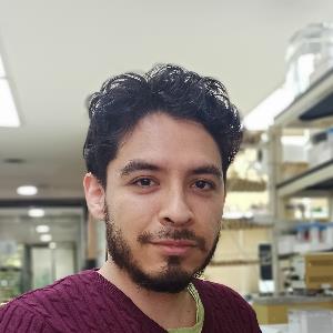 Alejandro P. | Tutor in Chemistry, Spanish | 13700049