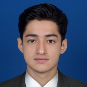 Alejandro V. | Tutor in Algebra, Algebra 2, Calculus, Calculus BC, Elementary (3-6) Math, Geometry, Midlevel (7-8) Math, Pre-Calculus, Trigonometry | 12575438