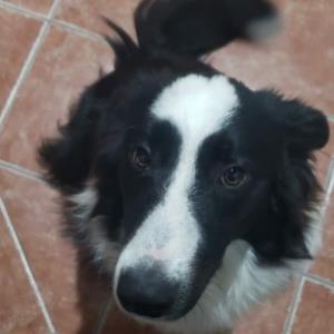 Carolina M. | Tutor in Biology, Anatomy and Physiology | 6078557