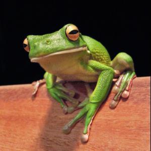 Erik H. | Tutor in Computer Science Java | 9747824