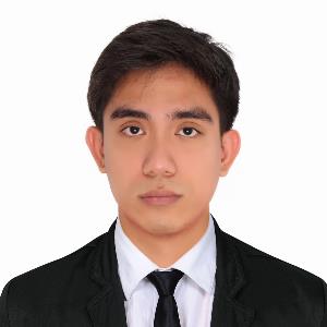 Vincent S. | Tutor in Accounting, Finance | 13706950